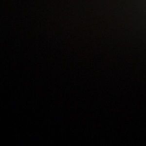 Meet your Posher, Danalee